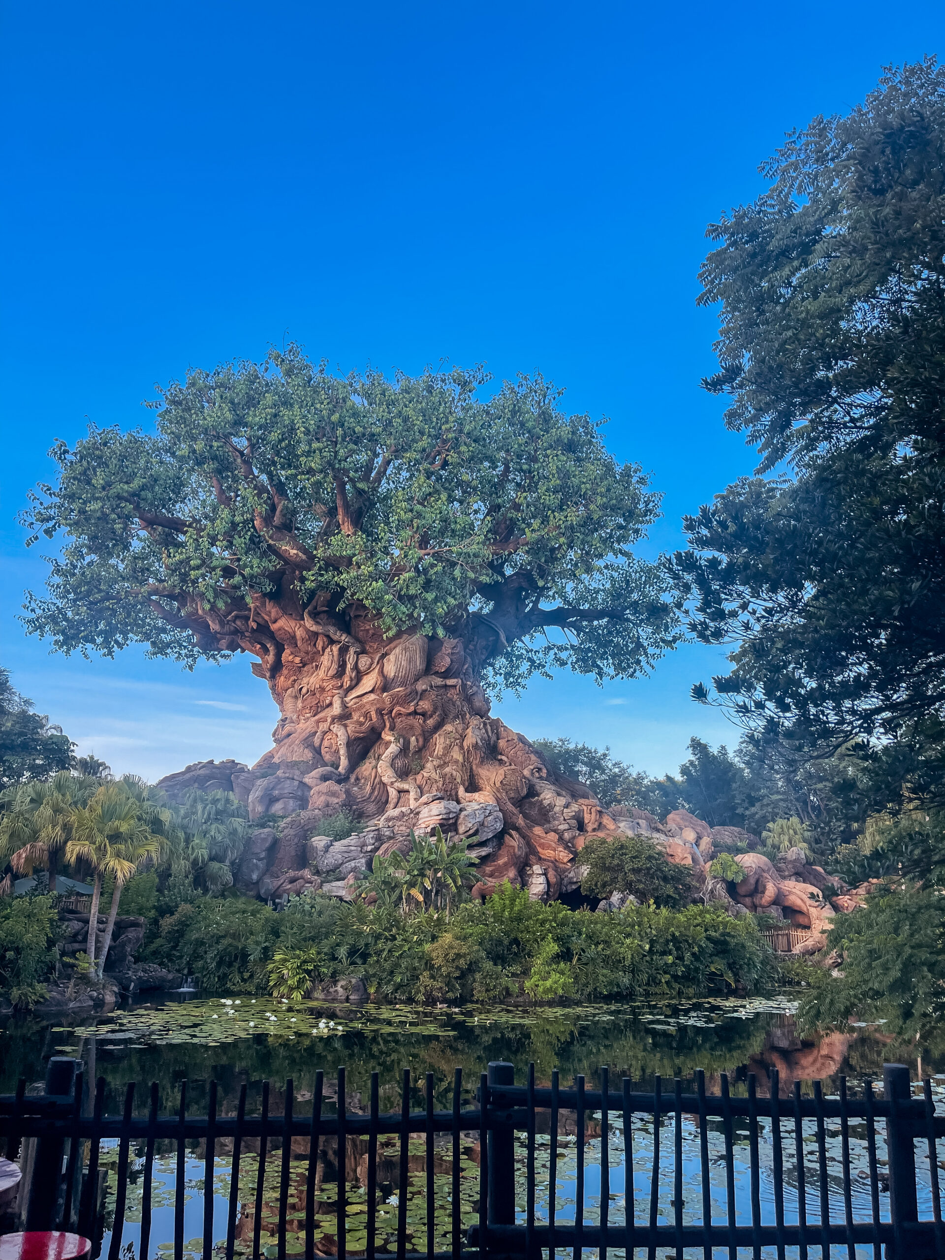 Tree of Life at Disney's Animal Kingdom